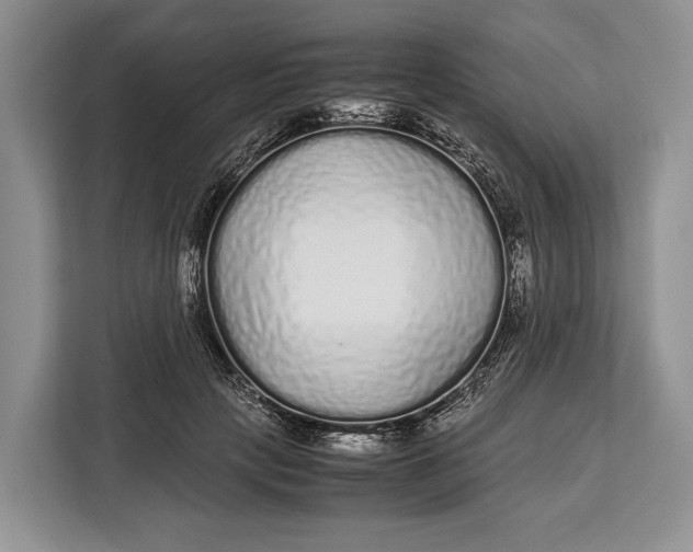 X0000113040649200909171522