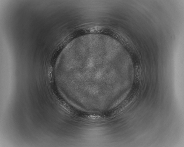 X0000113040650200909171522