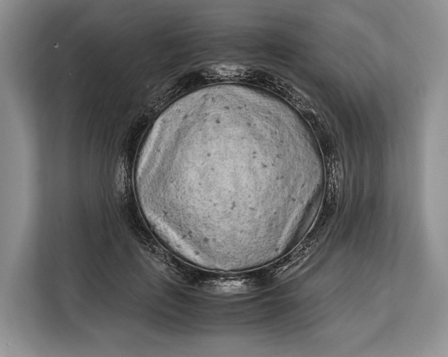 X0000113040651200909171522