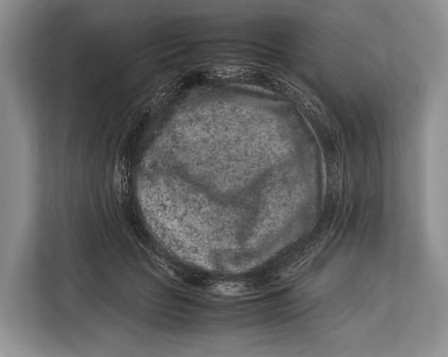 X0000113040653200909171522