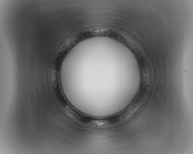 X0000113040654200909171522