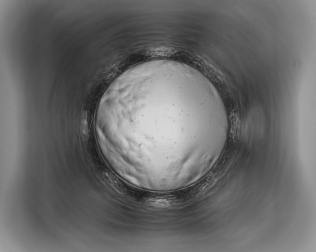 X0000113040655200909171522