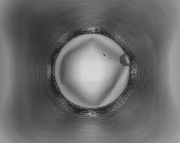 X0000113040656200909171522