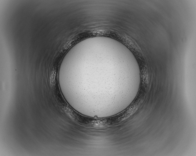 X0000113040660200909171522