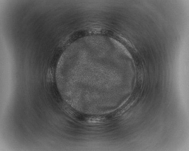X0000113040661200909171522
