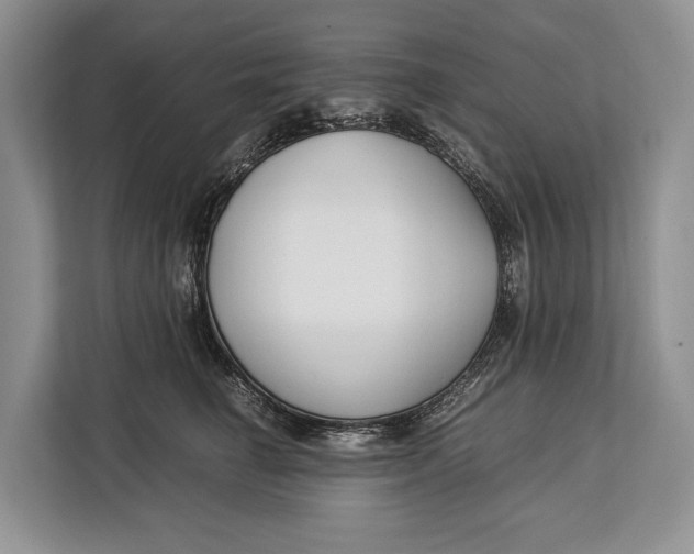 X0000113040662200909171522