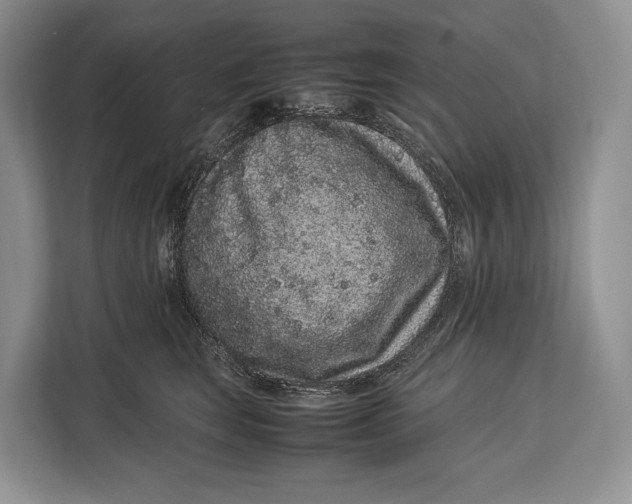 X0000113040663200909171522