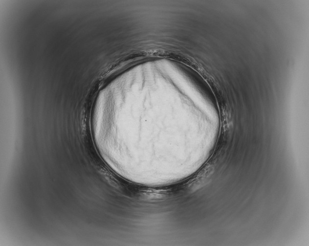 X0000113040664200909171522