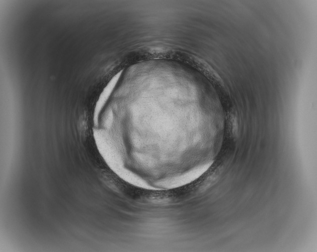 X0000113040668200909171522