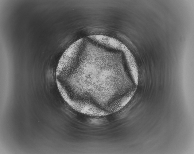 X0000113040669200909171522
