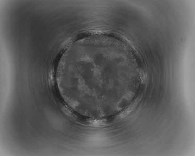 X0000113040670200909171522