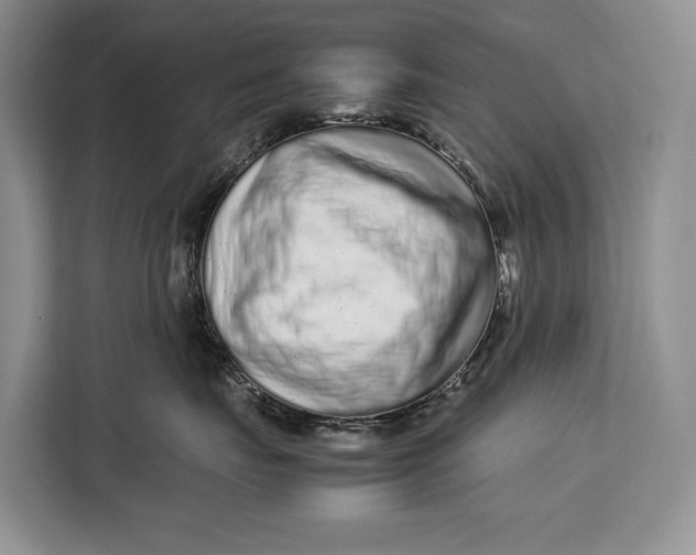 X0000113040671200909171522