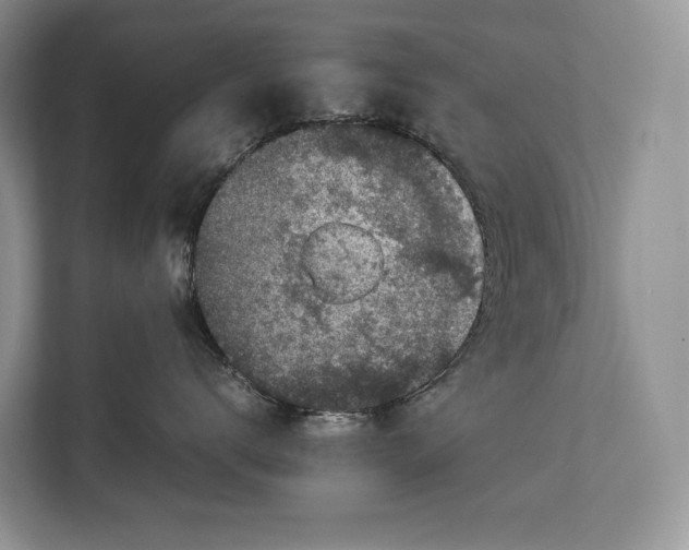 X0000113040672200909171522