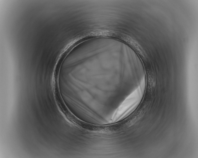 X0000113040674200909171521