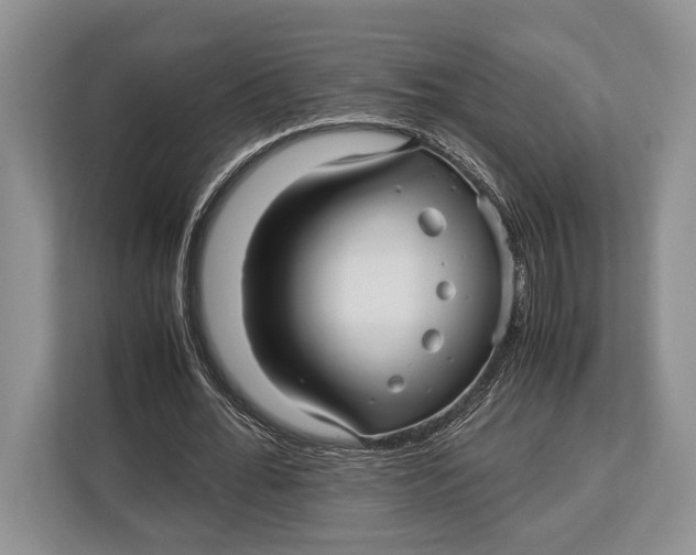 X0000113040676200909171521