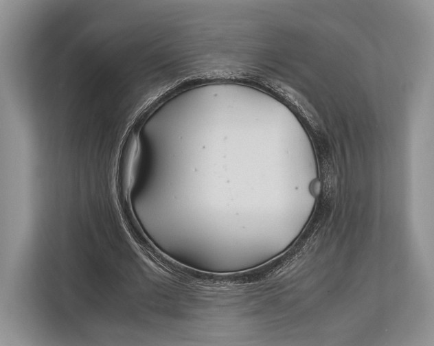 X0000113040677200909171521