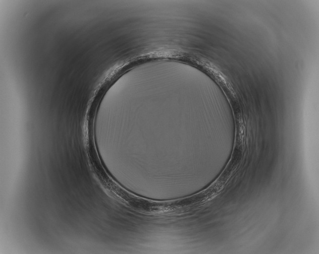 X0000113040678200909171521