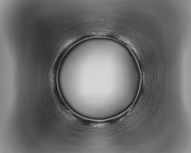 X0000113040679200909171521