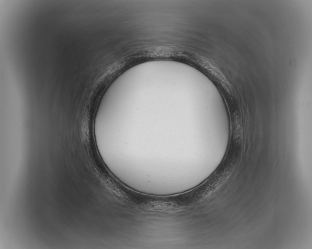 X0000113040681200909171521