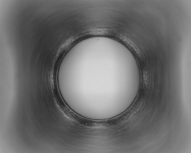 X0000113040682200909171521