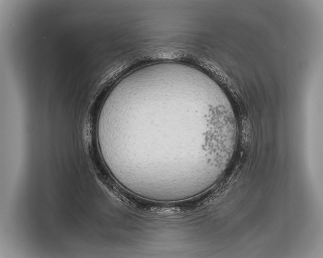 X0000113040683200909171521