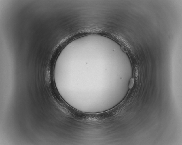 X0000113040684200909171521