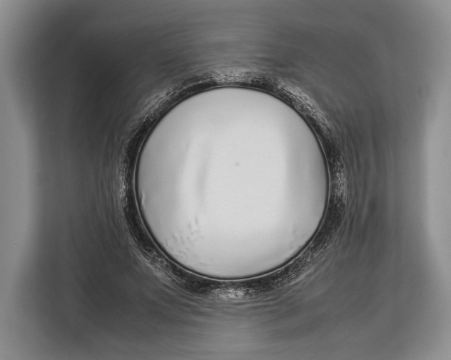 X0000113040687200909171521