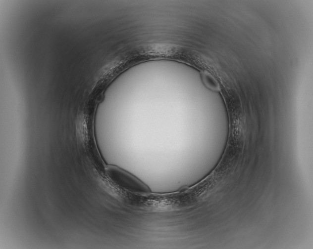 X0000113040688200909171521