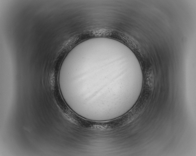 X0000113040690200909171521