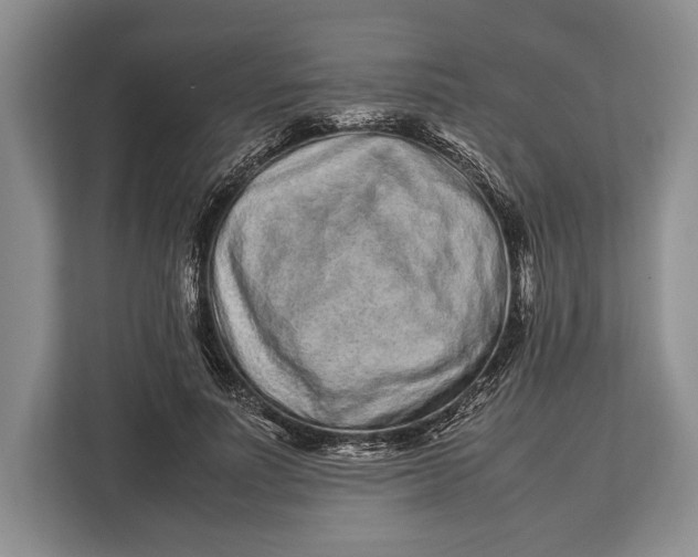 X0000113040691200909171521
