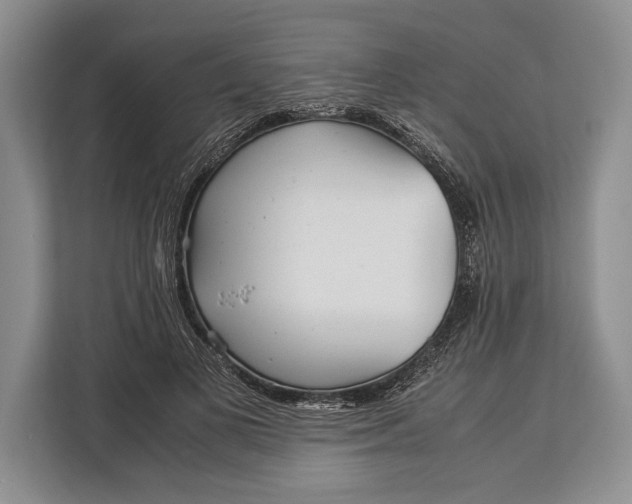 X0000113040693200909171521