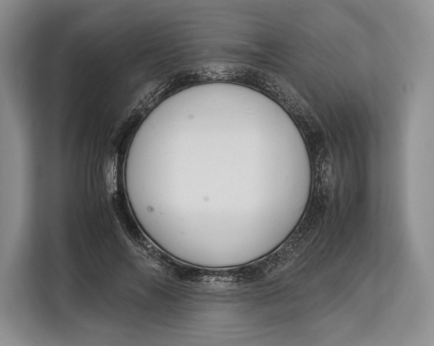 X0000113040694200909171521