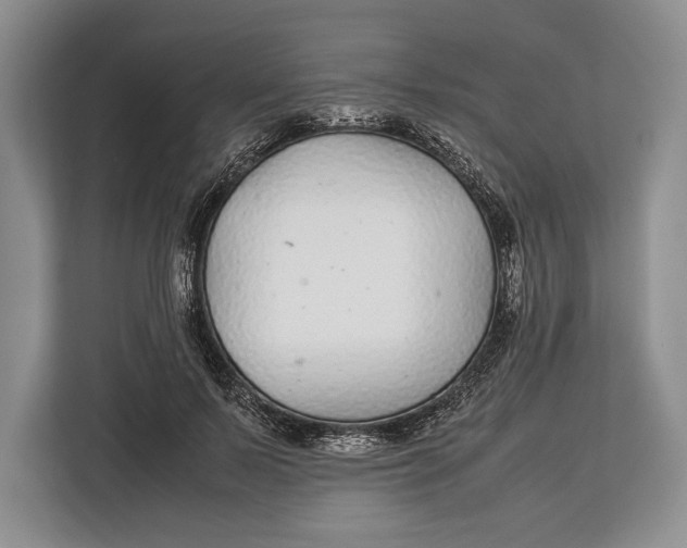 X0000113040695200909171521