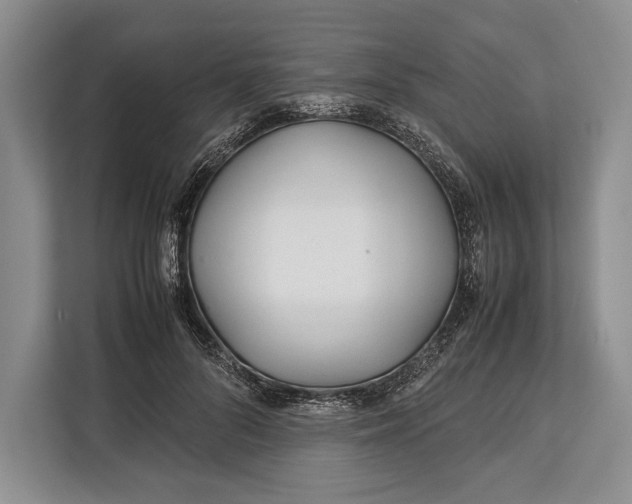 X0000113040696200909171521
