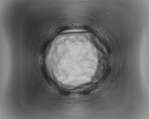 X0000113040699200909171521