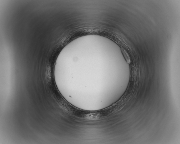 X0000113040700200909171521