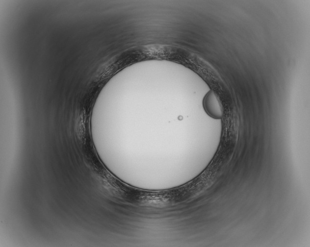 X0000113040702200909171521