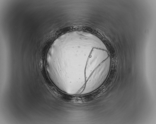 X0000113040703200909171521