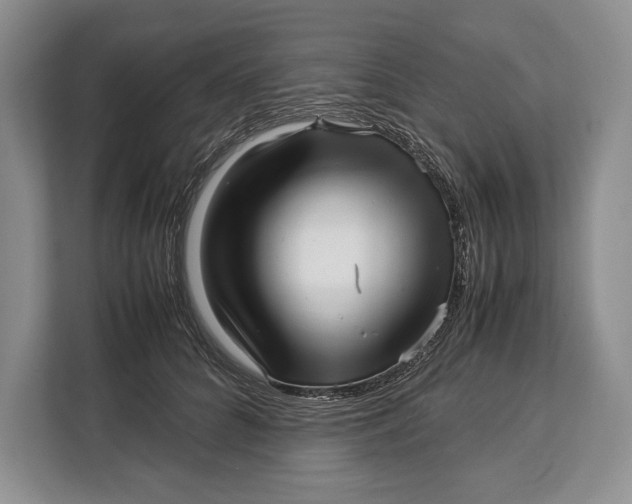 X0000113040704200909171521