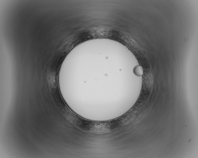 X0000113040709200909171521
