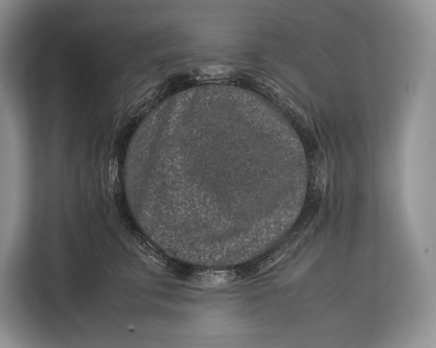 X0000113040711200909171521