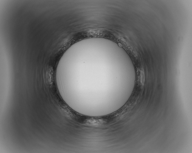 X0000113040712200909171521