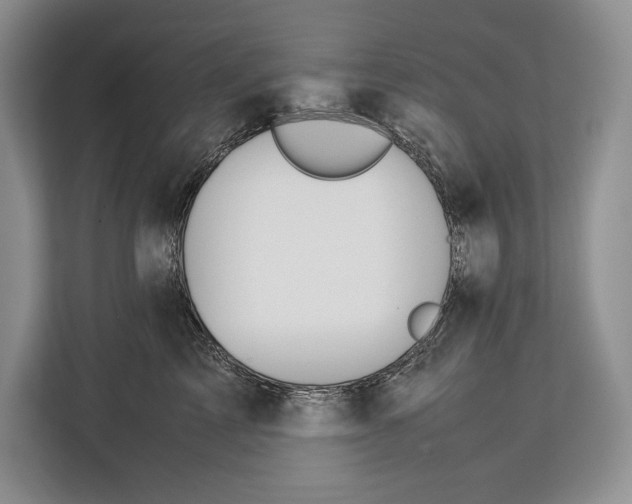 X0000113040713200909171521