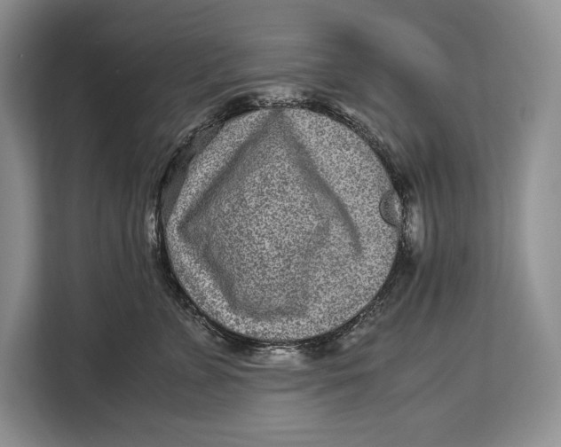 X0000113040715200909171521