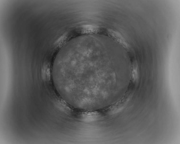 X0000113040716200909171521