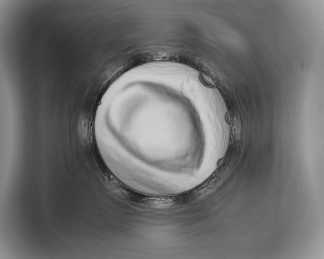 X0000113040719200909171521