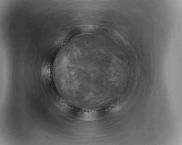 X0000113040720200909171521