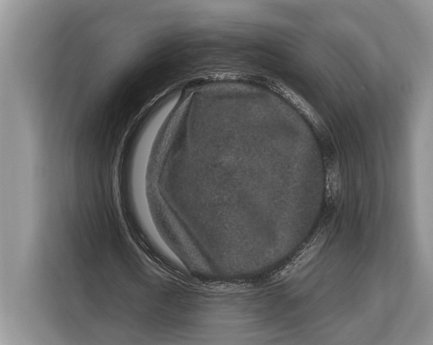 X0000113040722200909171520