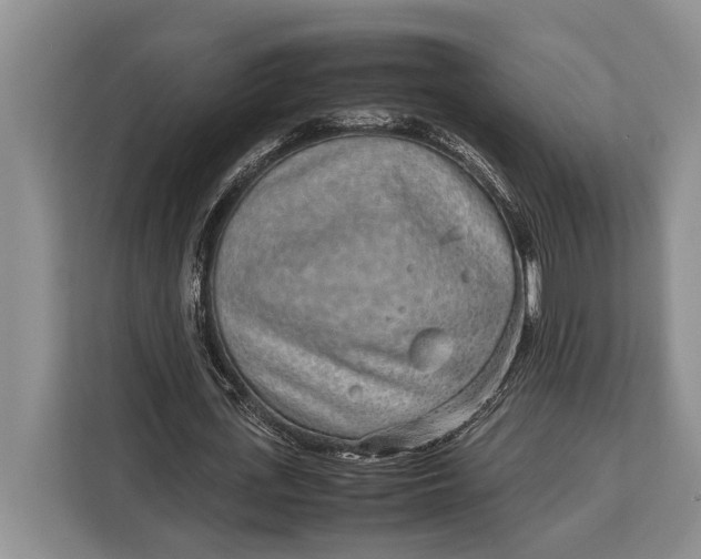 X0000113040723200909171520