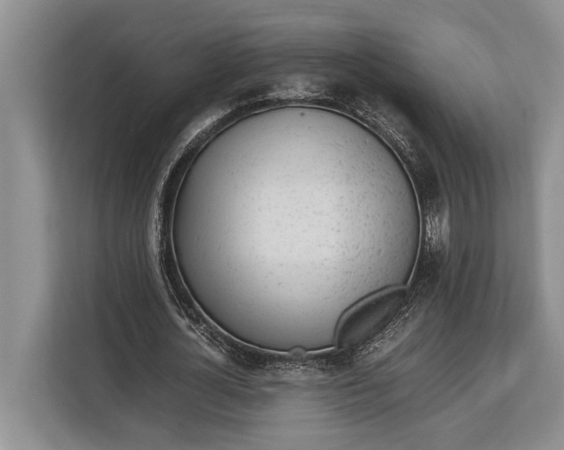 X0000113040724200909171520